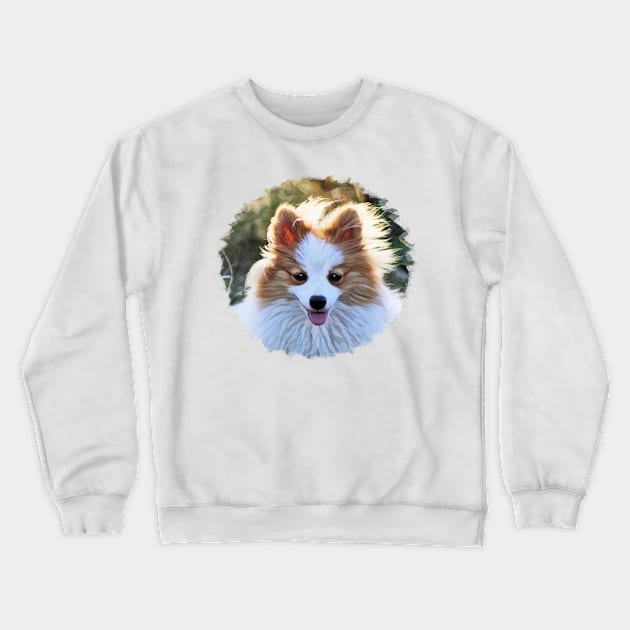 Pomeranian Puppy Crewneck Sweatshirt by PhotoArts